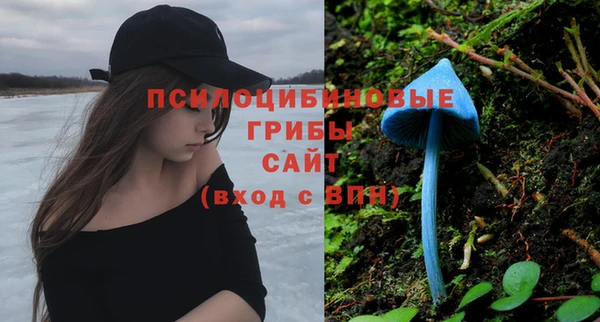 ГАЛЛЮЦИНОГЕННЫЕ ГРИБЫ Лихославль