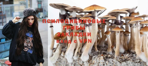 ГАЛЛЮЦИНОГЕННЫЕ ГРИБЫ Лихославль