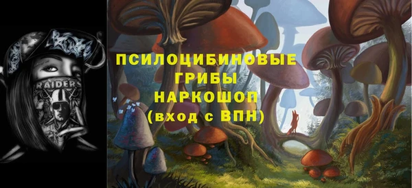 ГАЛЛЮЦИНОГЕННЫЕ ГРИБЫ Лихославль