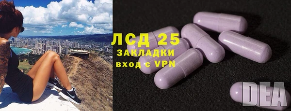 ГАЛЛЮЦИНОГЕННЫЕ ГРИБЫ Лихославль