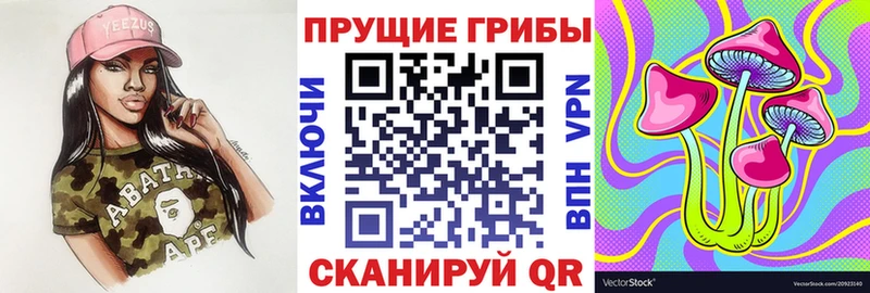 хочу наркоту  Красногорск  Псилоцибиновые грибы Psilocybe 